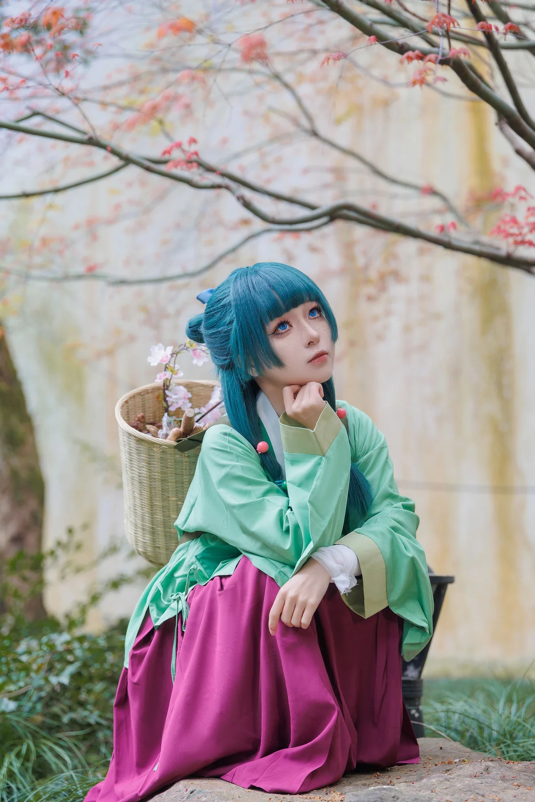 矢量鱼写真图片(5)